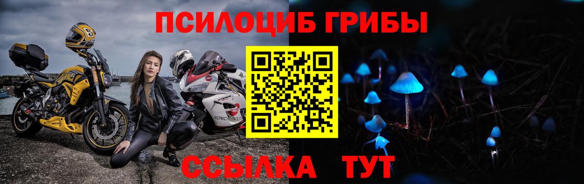 Галлюциногенные грибы MAGIC MUSHROOMS Сокол